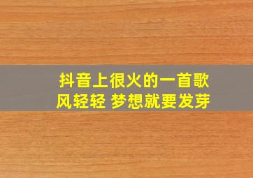 抖音上很火的一首歌风轻轻 梦想就要发芽